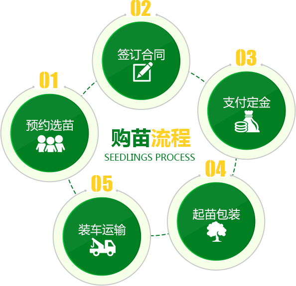 慈利县九九农业开发有限公司