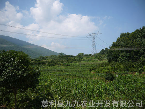 江垭基地