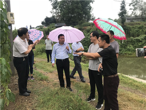 慈利县九九农业开发有限公司,张家界粘木苗销售,杜仲种植,苗木销售 慈利县九九农业开发有限公司,张家界粘木苗销售,杜仲种植,苗木销售